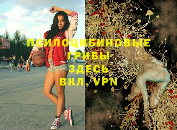 трава Богородицк