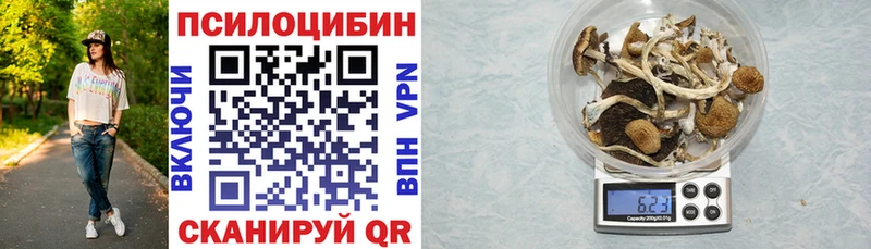 Галлюциногенные грибы Magic Shrooms  это телеграм  Михайлов  дарнет шоп  ОМГ ОМГ  